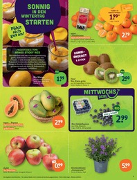 Äpfel Angebot im aktuellen tegut Prospekt auf Seite 5