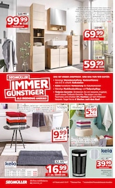 Aktueller Segmüller Prospekt mit Bad-Accessoires, "Segmüller Highlight Angebote", Seite 36
