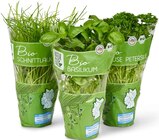 Schnittlauch von NATURGUT im aktuellen Penny Prospekt für 1,49 €
