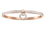 BRACELET JONC ACIER ET OXYDES DE ZIRCONIUM en promo chez Auchan Hypermarché BRACELET JONC ACIER ET OXYDES DE ZIRCONIUM dans le catalogue Auchan Hypermarché