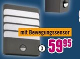 Aktuelles Sensor-LED-Außenwandleuchte „Raccoon“ Angebot bei Hornbach in Bochum ab 34,90 €