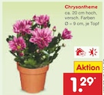 Chrysantheme  im aktuellen Netto Marken-Discount Prospekt für 1,29 €