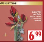 Amaryllis mit Grün im aktuellen EDEKA Prospekt