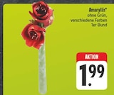Angebot im EDEKA Röttingen Prospekt EDEKA Röttingen Prospekt mit  im Angebot für 1,99 €