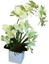 Orchidée 60 cm - Office DEPOT à Clamart Orchidée 60 cm en promo chez Office DEPOT Clamart à 73,79 €