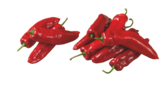 Aktuelles Bio-Paprika spitz Angebot bei tegut in Würzburg ab 1,99 €