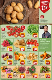 Ähnliche Briefkasten Angebote im Prospekt "Dein Markt" von REWE in Weimar Ähnliche Angebote wie Briefkasten im Prospekt "Dein Markt" auf Seite 9 von REWE in Weimar