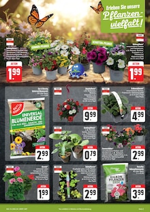 Blumenerde im aktuellen E center Prospekt (Nürnberg) Blumenerde im E center Prospekt "Wir lieben Lebensmittel!" mit 28 Seiten (Nürnberg)