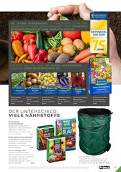 Aktueller RHG Baucentrum Prospekt mit Blumenzwiebeln, "Der Katalog für Gartengestaltung, Gartenpflege und Gartenfreizeit.", Seite 237