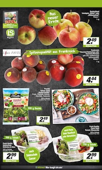 Tomaten im aktuellen EDEKA Prospekt (Münster) Tomaten im EDEKA Prospekt "Aktuelle Angebote" mit 13 Seiten (Münster)
