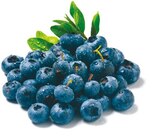 Heidelbeeren im Netto mit dem Scottie Prospekt Heidelbeeren von GO Regio im aktuellen Netto mit dem Scottie Prospekt für 1,69 €
