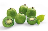 Kiwibeeren Angebote bei REWE Fellbach für 1,69 €