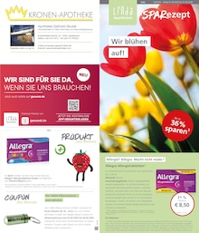 LINDA Prospekt für Göttingen: "Aktuelle Angebote", 3 Seiten, 01.04.2025 - 31.05.2025