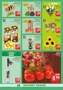 Kartoffeln im aktuellen Marktkauf Prospekt (Leipzig) Kartoffeln im Marktkauf Prospekt "AUSWAHL RIESIG, PREISE NIEDRIG" mit 44 Seiten (Leipzig)