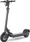 Egret Pro im Angebot bei EURONICS in Oldenburg Egret Pro Angebote von EGRET bei EURONICS Oldenburg für 829,00 €