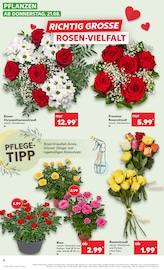 Aktueller Kaufland Prospekt mit Valentinstag, "Aktuelle Angebote", Seite 4