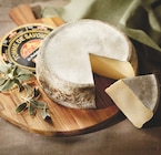 Intermarché Le Mesnil-Au-Val - Promo Tomme de savoie IGP Promo Tomme de savoie IGP à 14,99 € dans le catalogue Intermarché à Le Mesnil-Au-Val