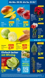 Bio Gemüse Angebot & Preis im aktuellen Lidl Prospekt Bio Gemüse Angebot im aktuellen Lidl Prospekt auf Seite 3