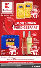 Kaufland Prospekt "Hier bin ich richtig", 70 Seiten, 04.06.2026 - 04.06.2026 Aktueller Kaufland Prospekt, "Hier bin ich richtig", mit Angeboten der Woche, gültig von 04.06.2026 bis 04.06.2026