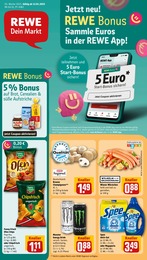 REWE Prospekt für Kempten mit 24 Seiten REWE Prospekt für Kempten: "Dein Markt", 24 Seiten, 13.01.2025 - 18.01.2025