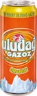 Netto Marken-Discount - Gazoz Angebot im Prospekt Gazoz bei Netto Marken-Discount im Prospekt "" für 0,79 €