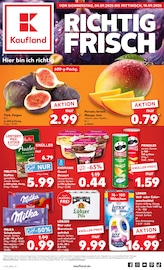 Kaufland Prospekt der aktuellen Woche, gültig von 04.09.2025 bis 10.09.2025 Aktueller Kaufland Prospekt "Aktuelle Angebote" mit 64 Seiten