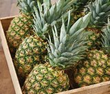 Intermarché Contact Ploemeur - Promo Ananas Promo Ananas à 1,49 € dans le catalogue Intermarché Contact à Ploemeur