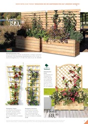 Aktueller Herbrügger Prospekt mit Blumentopf, "MEIN GARTEN 2026", Seite 117