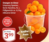 GLOBUS Halle (Saale) Prospekt mit  im Angebot für 3,99 €