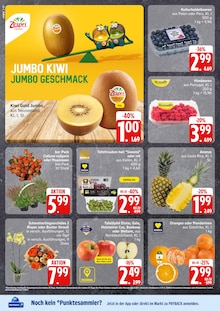 Aktueller EDEKA Prospekt
