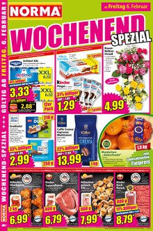 Hähnchen im Norma Prospekt "Mehr fürs Geld" mit 20 Seiten (Regensburg)