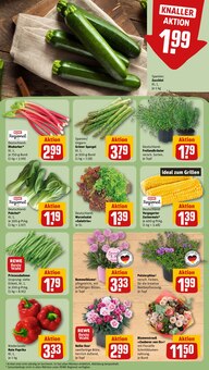 Blumen im REWE Prospekt "Dein Markt" mit 30 Seiten (Oberhausen)