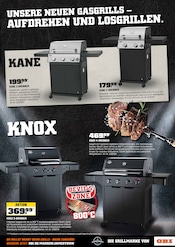Aktueller OBI Prospekt mit Gasgrill, "BIBERSTARKE ANGEBOTE", Seite 13