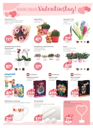 V-Markt Rose im Prospekt 