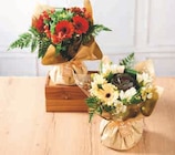 Bouquet Bulle Métiers - Super U à Saint-Martin-d'Hères Bouquet Bulle Métiers en promo chez Super U Saint-Martin-d'Hères à 18,99 €