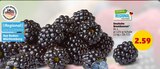 Deutsche Brombeeren bei Penny im Vogt Prospekt für 2,59 €