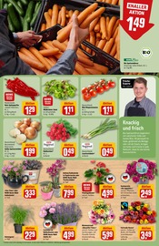 Ähnliche Tulpen Angebote im Prospekt "Dein Markt" von REWE in Braunschweig Ähnliche Angebote wie Tulpen im Prospekt "Dein Markt" auf Seite 9 von REWE in Braunschweig