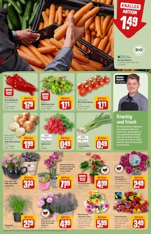Tomaten im REWE Prospekt "Dein Markt" mit 36 Seiten (Braunschweig)