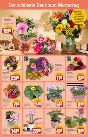 Aktueller REWE Prospekt mit Sonnenblume, "Dein Markt", Seite 8