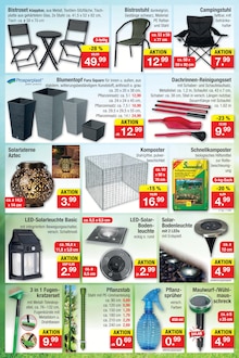 Blumentopf im Zimmermann Prospekt "Aktuelle Angebote" mit 14 Seiten (Hildesheim)