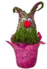 Aktuelles Calluna-Wichtel Angebot bei Kaufland in Duisburg ab 5,99 €