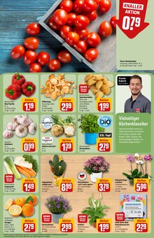 Pflanzen im aktuellen REWE Prospekt (Nürnberg) Pflanzen im REWE Prospekt "Dein Markt" mit 28 Seiten (Nürnberg)