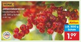 Johannisbeeren rot von Heimat für 1,99 € bei Netto Marken-Discount im Angebot Johannisbeeren rot von Heimat im aktuellen Netto Marken-Discount Prospekt