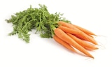 Colruyt Ramonchamp - Promo Carottes fane Promo Carottes fane à 1,39 € dans le catalogue Colruyt à Ramonchamp