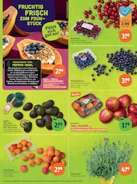 tegut Blaubeeren im Prospekt tegut Blaubeeren im Prospekt