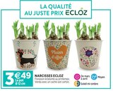 Promo Narcisses ECLOZ à 3,49 € dans le catalogue Jardineries du terroir à Saint-Pierre-d'Albigny