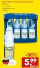 Aktuelle Mineralwasser Angebote bei Netto Marken-Discount in Mannheim Aktuelles Mineralwasser Medium Angebot bei Netto Marken-Discount in Mannheim ab 5,99 €