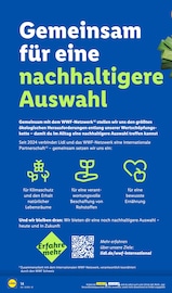 Aktueller Lidl Prospekt mit Teppichboden, "LIDL LOHNT SICH", Seite 22
