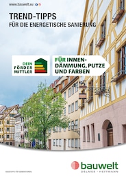 Delmes Bauwelt Prospekt für Seevetal: "Trend-Tipps FÜR DIE ENERGETISCHE SANIERUNG", 14 Seiten, 01.11.2024 - 10.11.2024