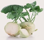 Kohlrabi im EDEKA Prospekt Kohlrabi von im aktuellen EDEKA Prospekt für 0,66 €